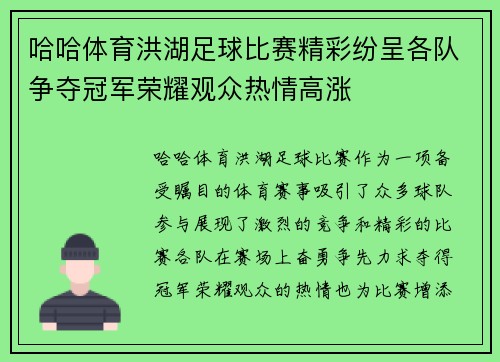 哈哈体育洪湖足球比赛精彩纷呈各队争夺冠军荣耀观众热情高涨